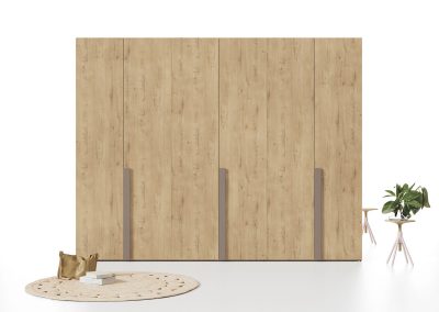 Idea d’armari amb portes batents 10